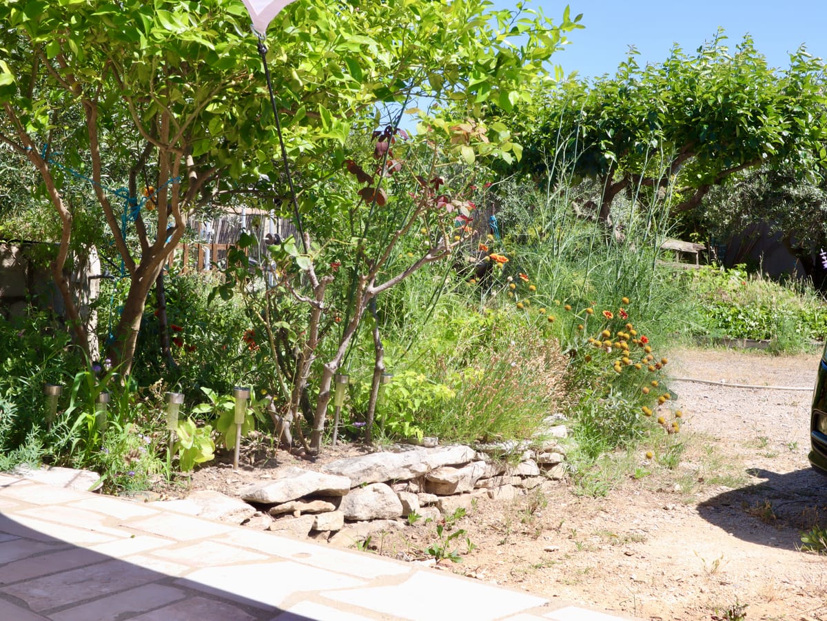 Le jardin des Safrans à Tavel — oliviers, potager et fleurs de garrigue
